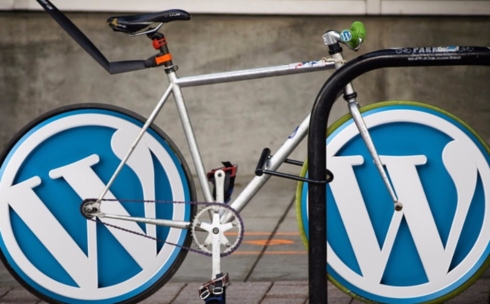 Read more about the article WordPress Website Design